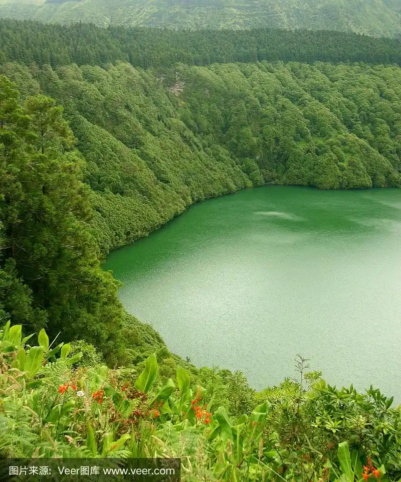 绿色的湖