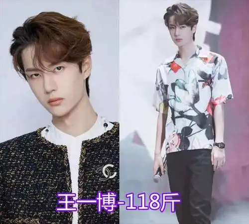 周震南114,张一山110,王一博是多少?爱豆体重大揭密!_手机搜狐网