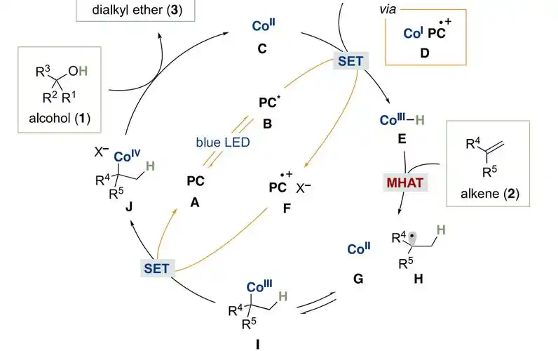 光化学反应条件助力williamson醚合成法无法实现的大位阻醚的制备