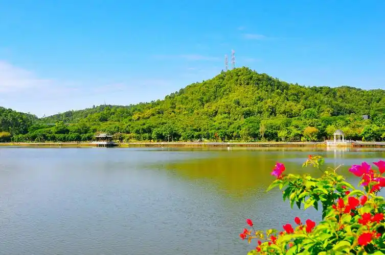 随拍深圳大运公园神仙湖