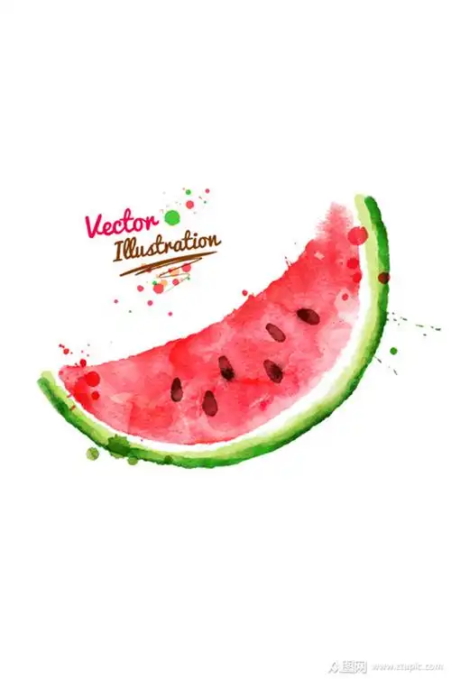 手绘精美西瓜矢量素材模板下载-编号680951-众图网