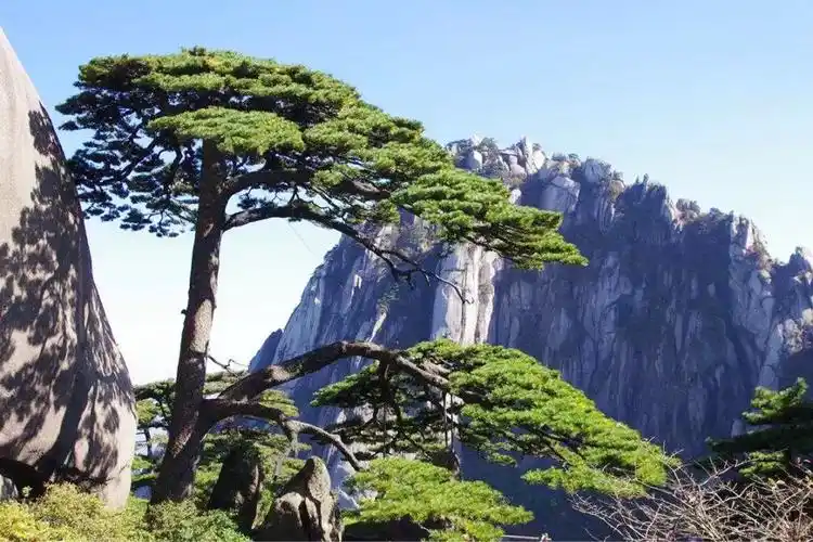 中国著名山水景点你去过哪些这几个景点有生之年要去打卡一次