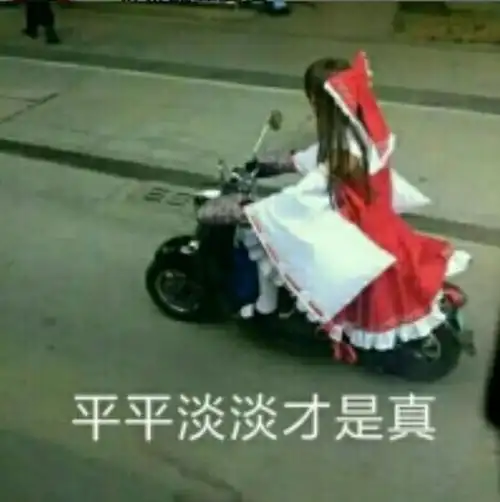 平平淡淡才是真(女装大佬)_平平淡淡_女装_大佬表情