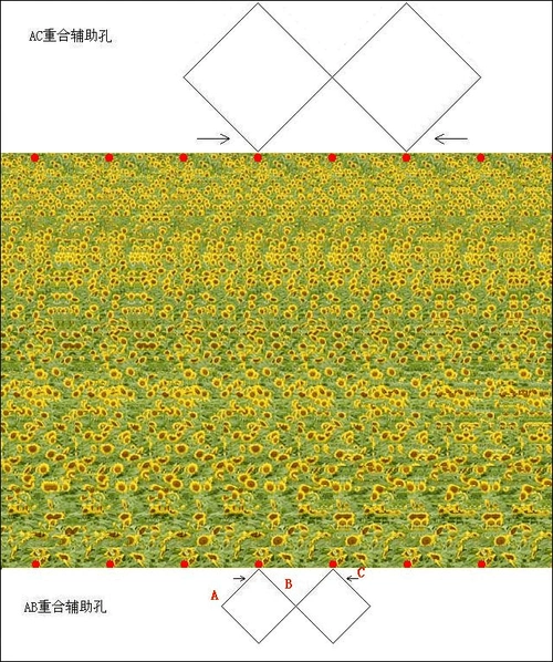 手机裸眼看3d的平行法和交叉法_p11练习图