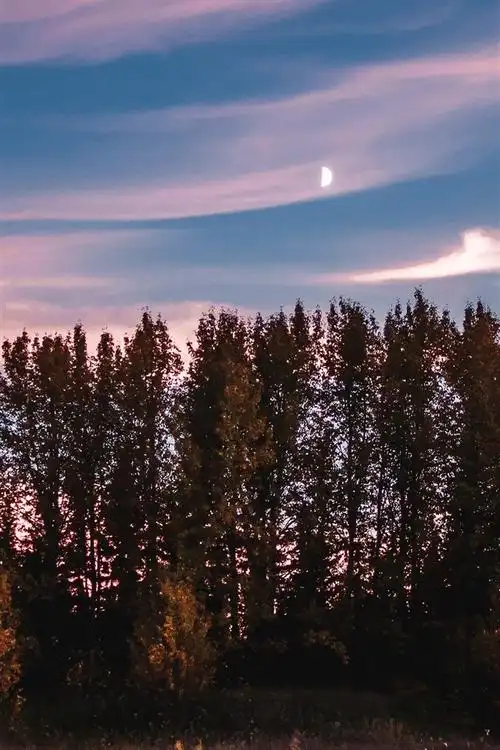 640x960 (iphone 4/4s)