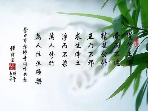 每日一禅禅语人生