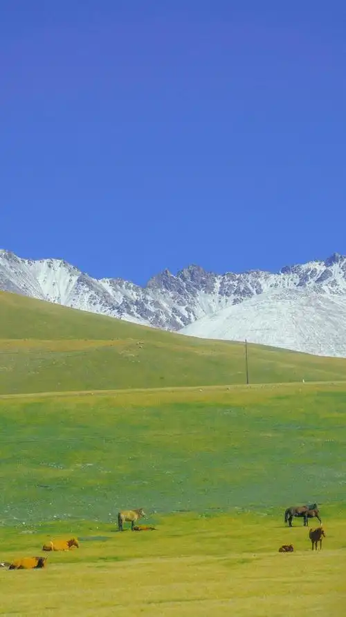 草原雪山壮阔自然风景