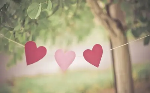 心,心形,护眼,植物,love,爱,情人节,温馨,安静,静谧,angie,loveulikeu