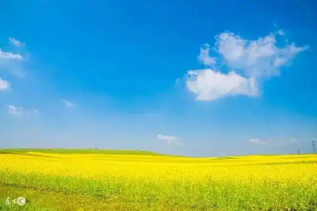 平平淡淡,清清浅浅,简简单单