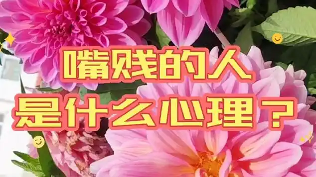 网易视频-嘴贱的人是什么心理?