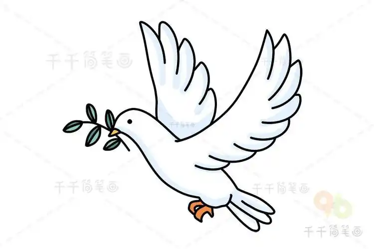 和平鸽简笔画步骤小动物彩色