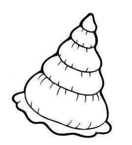 田螺的简笔画图片欣赏儿童简笔画丨画海螺的步骤丨零基础学画画田螺与