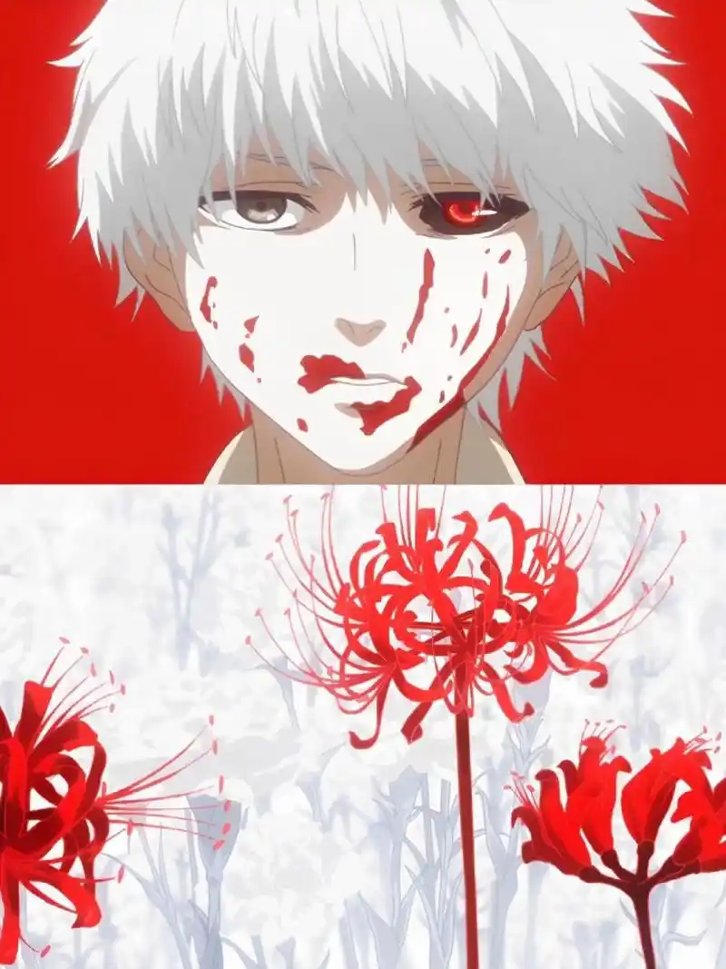 自古白毛出帅哥,你说是吧,金木研.