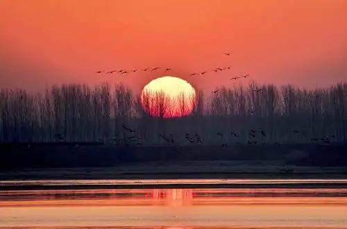 送走了2020年最后一抹夕阳,迎来了2021年的第一个东方红日!