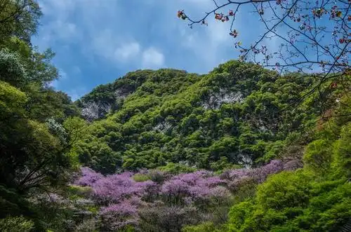 走进大自然:我喜欢春天,它阳光和,春风温暖,吹绿小草,吹红桃花,吹醒生