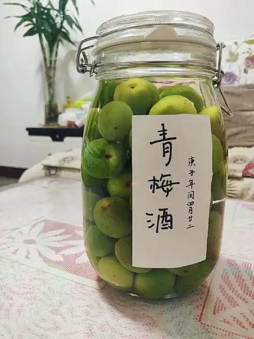 最近泡了一罐青梅酒,半年后见