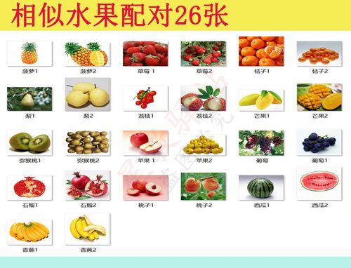 日常生活用品相似配对泛化卡片孤独自闭症训练aba玩具挂图