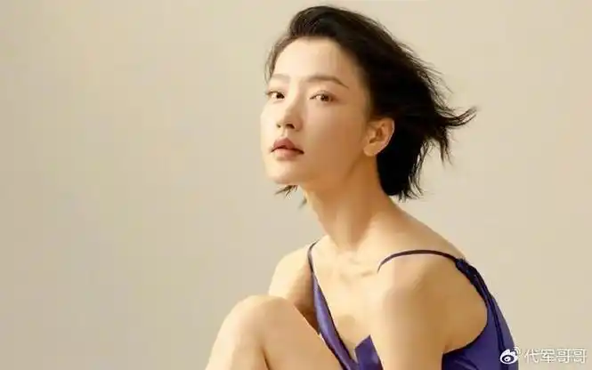 代表作|出生|电视剧_新浪新闻