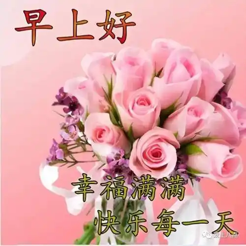 今天最新早上好问候语句子,最美的祝福,送给你_阳光_空气_平安