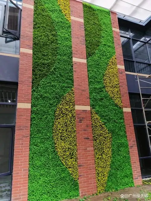 仿真绿植墙绿植时效性多久