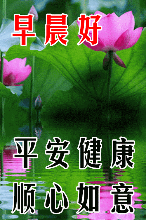 1月29日最漂亮早上好动态表情图片大全