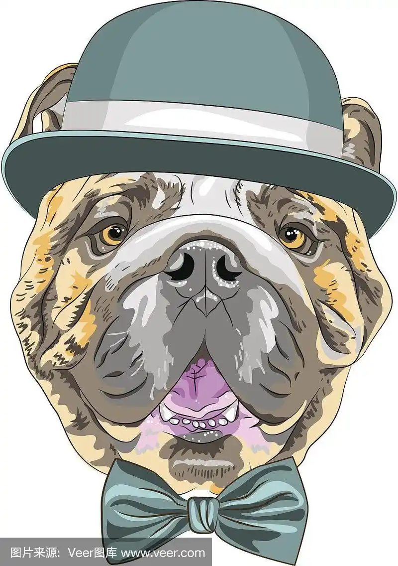 矢量搞笑卡通潮人狗英国斗牛犬品种