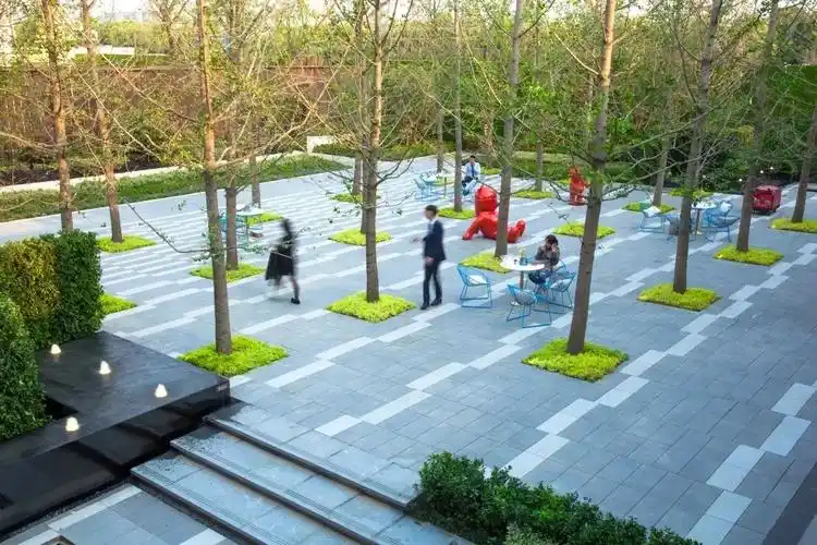 [分享]树阵景观,居然还能这么美!