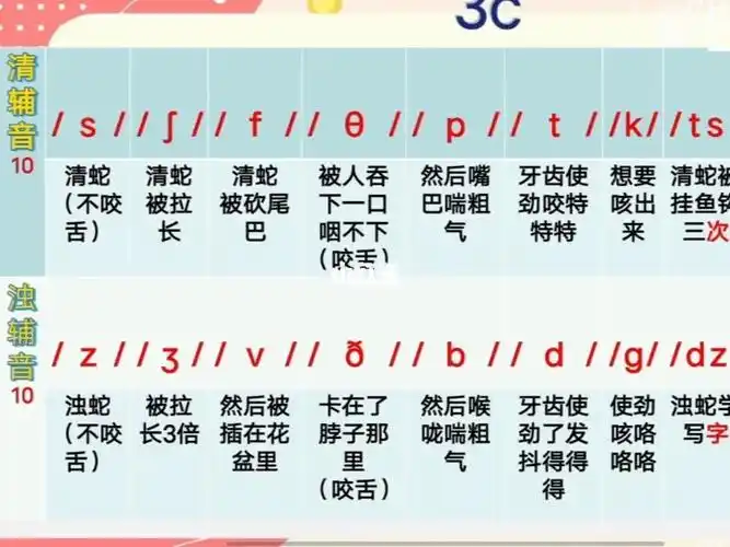 48个国际音标之10对清浊辅音20个