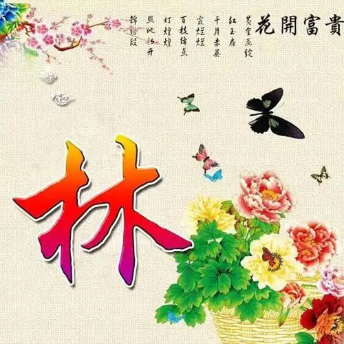 100句诗词/第一季/快看看你的姓呢/你喜欢的微信头像呢微信头像分享