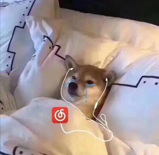 网抑云-聊天表情-斗图表情包-表情包网站