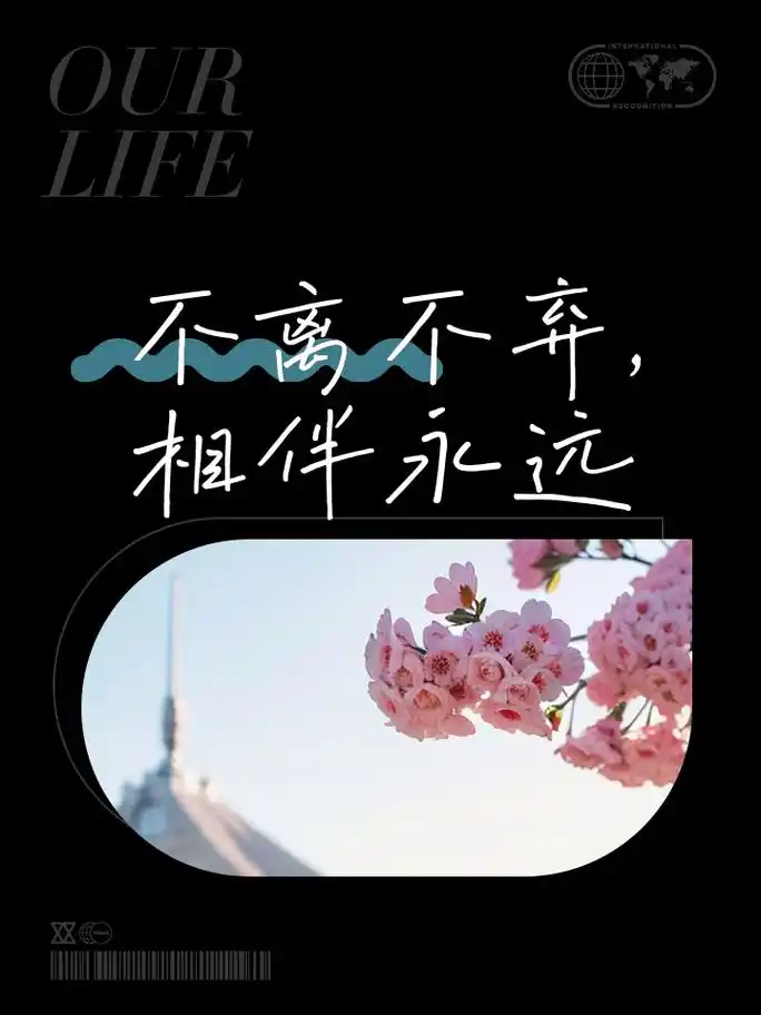 不离不弃,相伴永远