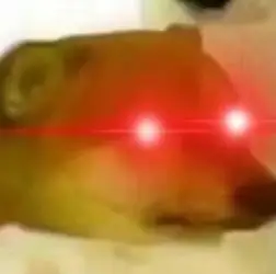 今天发一发两眼放红光/激光眼的图图#镭射眼表情包##熊猫头表情