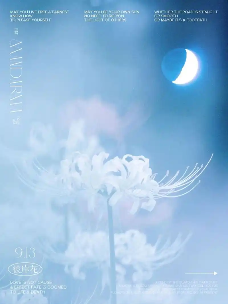 白色彼岸花又叫曼陀罗华,其花语是:无尽的思念,绝望的爱情,天堂的来信