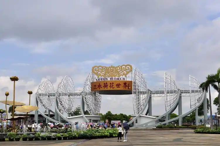 佛山三水荷花世界风景图片桌面壁纸