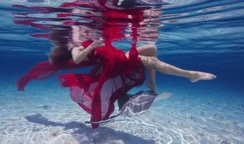 一条鲨鱼吃死了美女