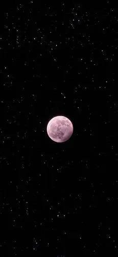 iphone壁纸抖音壁纸无水印