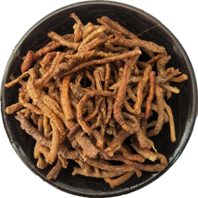 中药材炙远志干250g45制远志肉蜜炙远志抽芯蜜远其他药食同源食品