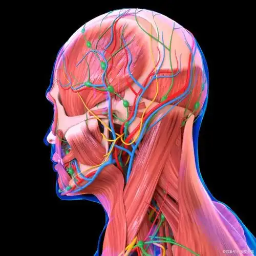 优先考虑面神经健康避免面部神经痛的4项预防措施