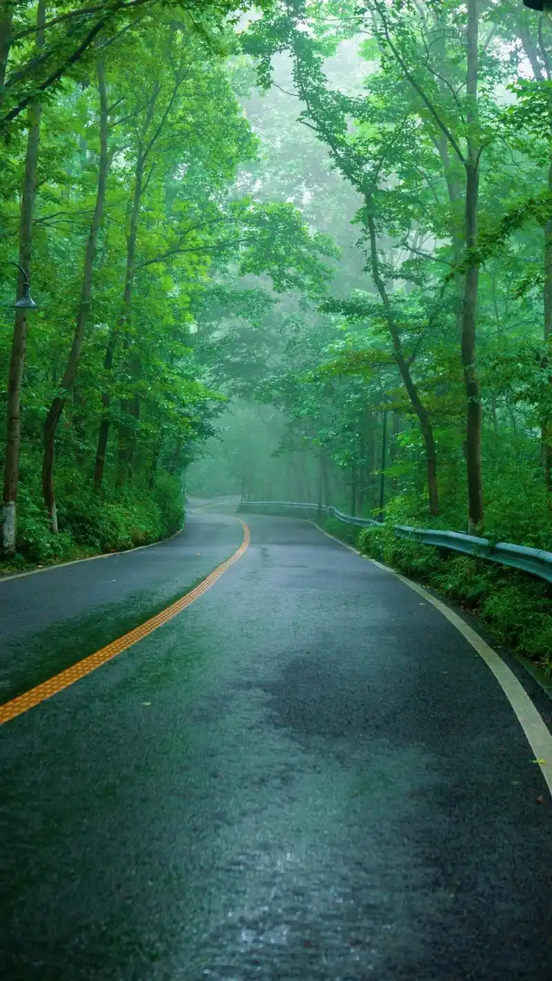 空气清新的道路养眼的手机壁纸喜欢就点个赞呗