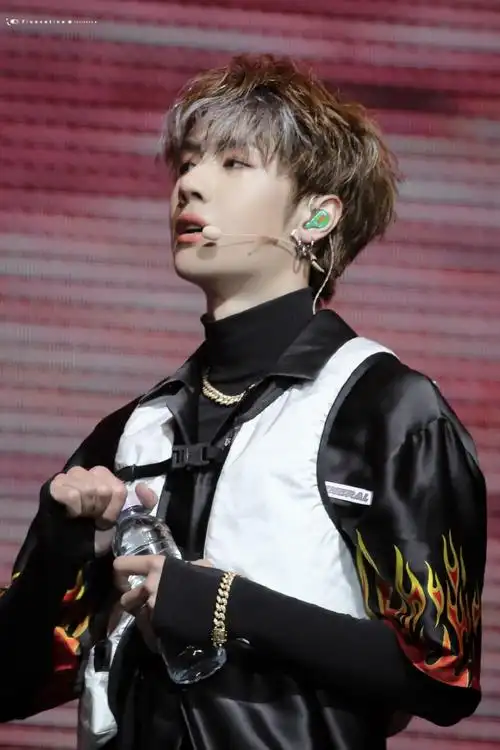 乐华十周年演唱会王一博