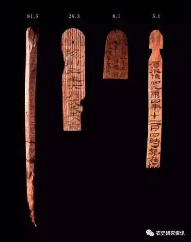 葵七畦 城官中亭治园条 其故多过条者勿减 葱三畦 凡十二畦[3] 刑义田