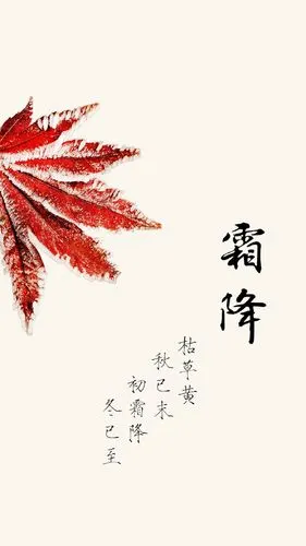二十四节气霜降文字图片手机壁纸