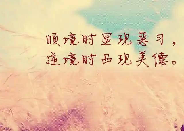 24,收拾起心情,继续走吧,错过花,你将收获雨,错过这一个,你才会