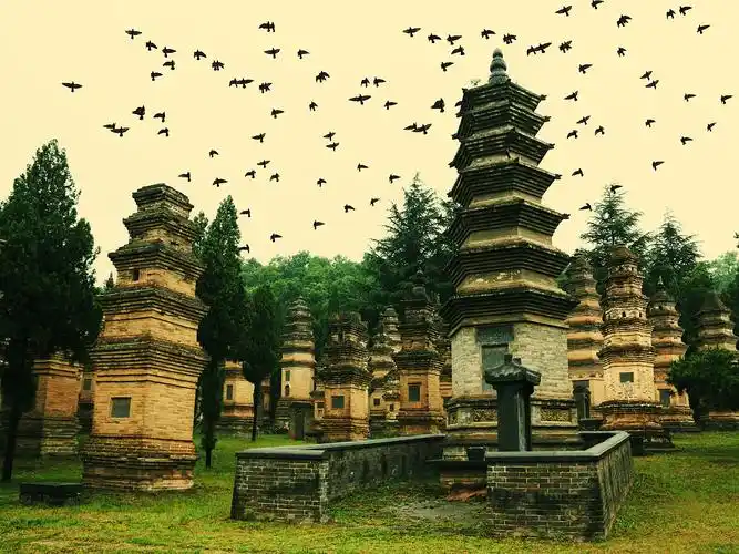 少林寺的旅游的时候,天空下起了雨,顺便记录下来 了,雨过之后来到塔林