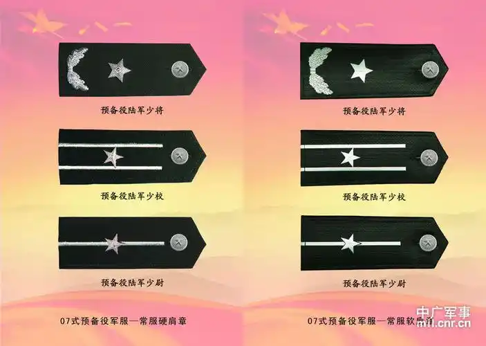 预备役换装(彩图)