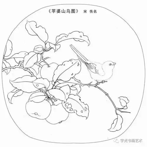 宋画花鸟白描小品绝对的经典