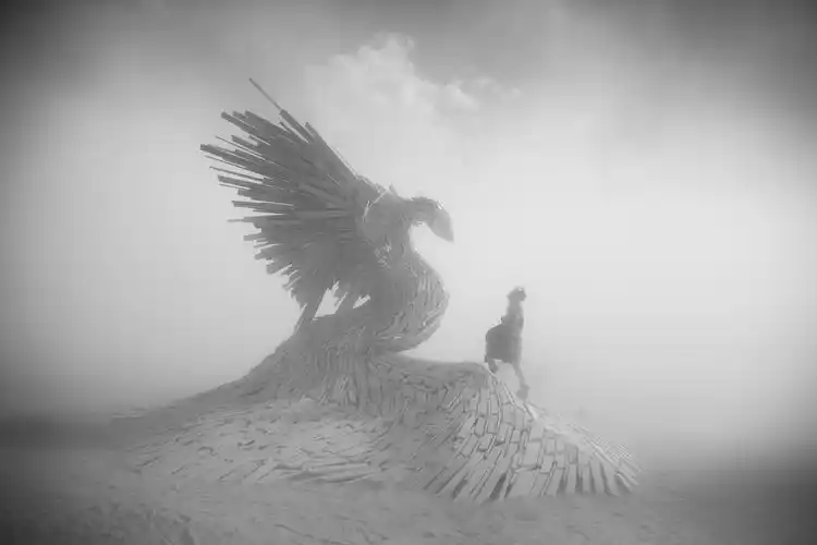 burning man的黑白世界