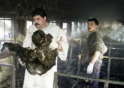 图文:埃及大火中一具烧焦的尸体被抱出车厢