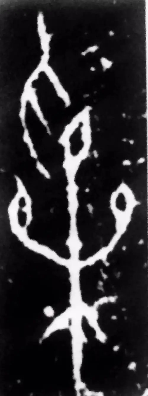 人人识读甲骨文之"采"字