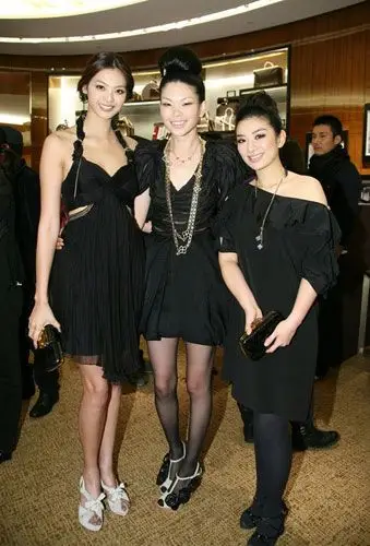 组图:中国三大超模刘雯,张梓琳,孙菲菲齐聚elle美妆盛典争艳,看看谁更